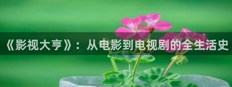 樱花节电影