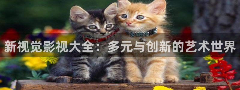 神马樱花影院：新视觉影视大全：多元与创新的艺术世界