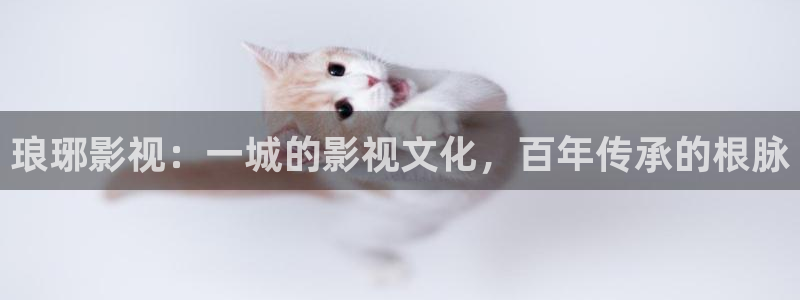 樱花免费看电影网站：琅琊影视：一城的影视文化，百年传承的根脉