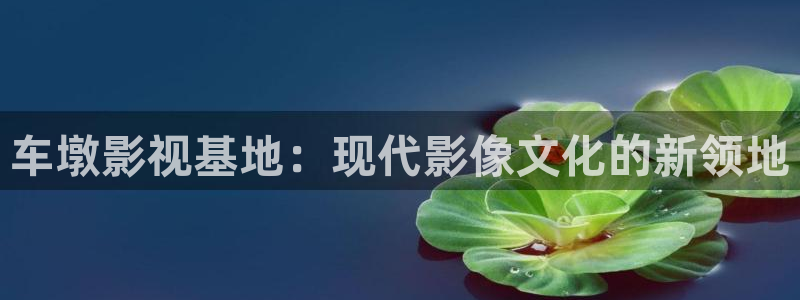樱花影院理论片：车墩影视基地：现代影像文化的新领地