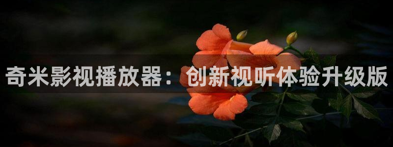 樱花影视：奇米影视播放器：创新视听体验升级版